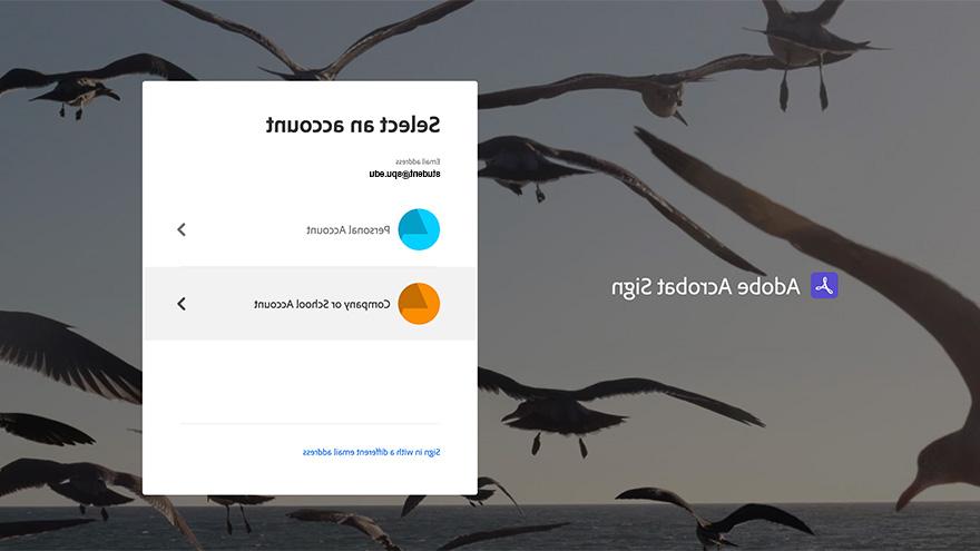 Adobe sign登录屏幕，选择公司或学校帐户