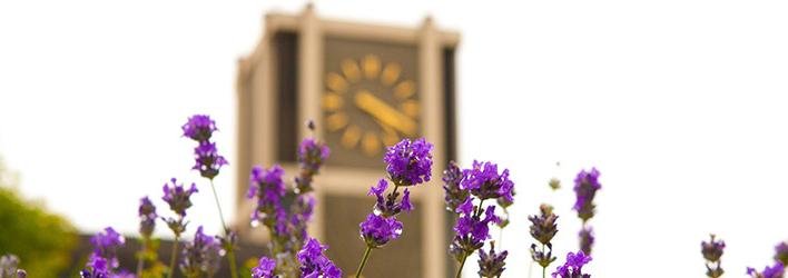 Flowers in front of SPU's Clock Tower